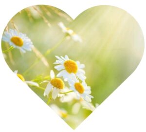 coup de cœur massage réflexologie et nutrition